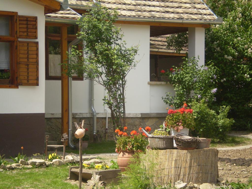 Tulipanos Vendeghaz Apartment Obanya Екстериор снимка