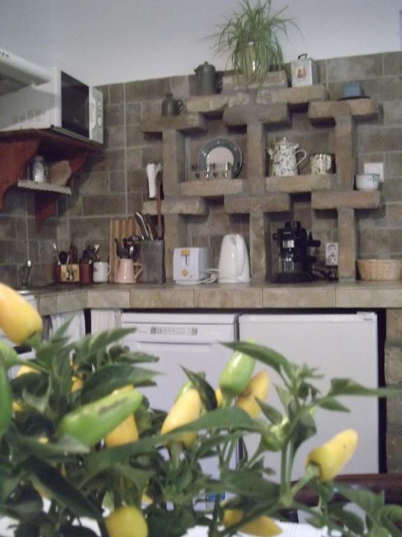 Tulipanos Vendeghaz Apartment Obanya Екстериор снимка